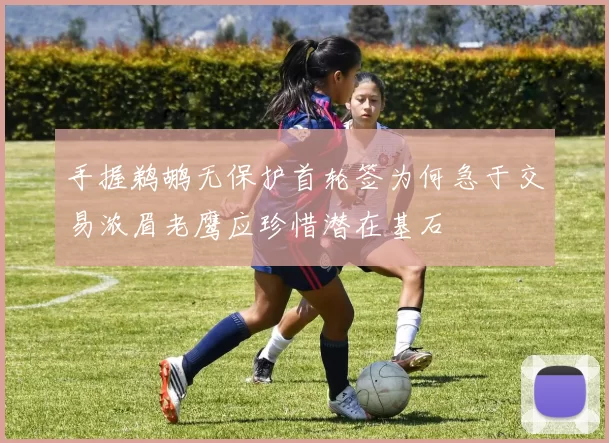 手握鹈鹕无保护首轮签为何急于交易浓眉老鹰应珍惜潜在基石