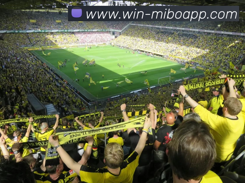 万博体育APP 高清赛事图